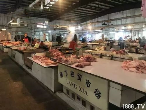 散户退养成趋势 非瘟浪潮下，这片土地只剩5家规模场占据肉品供应链