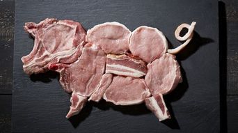 韩国入境新规升级 肉制品全面禁带，违者最高罚6万